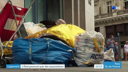 Une vingtaine d’associations ont annoncé avoir déposé, devant le tribunal administratif de Paris, deux recours contre l’Etat pour "carence fautive" dans la lutte contre le mal-logement - VIDEO