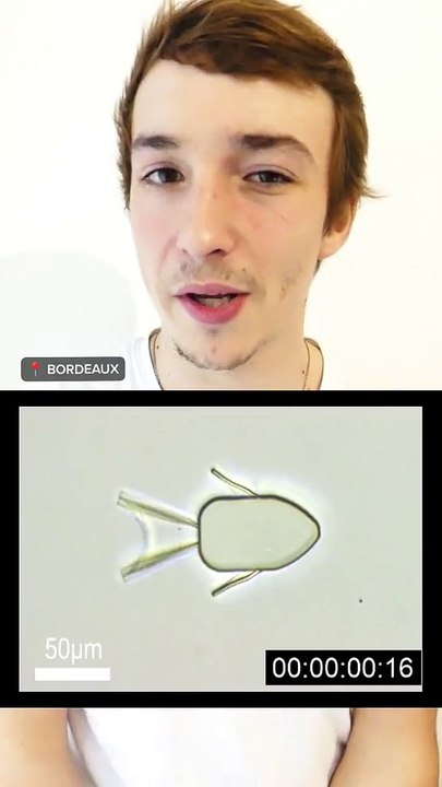 Microrobots cancer