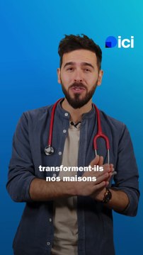 Pourquoi les chats grimpent aux rideaux