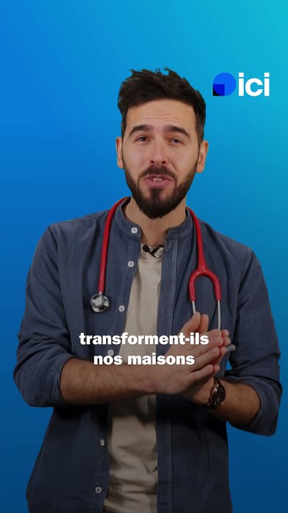 Pourquoi les chats grimpent aux rideaux