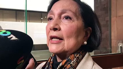La crisis en Nuevo León tiene varios actores: Legisladora Amalia García