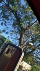 Empleados de la ENEE sufren accidente en Choloma