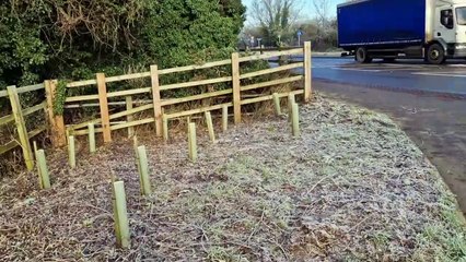Concerns raised over dead plants, trees and vegetation at Chowns Mill roundabout