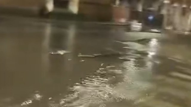 Bologna, allagamenti nella notte in via Lame: «Acqua anche in cantine, negozi e garage: ci sono danni»