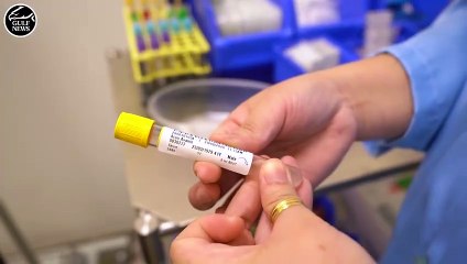 COVID-19 antibody test in UAE - everything you need to know