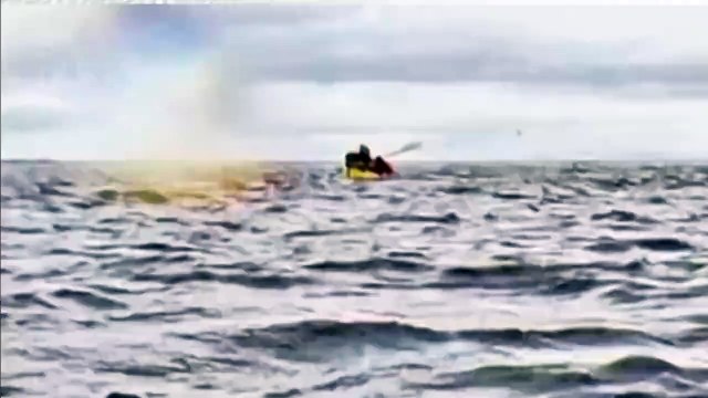 Una ballena tragó a una persona en su kayak: lo devolvió segundos después