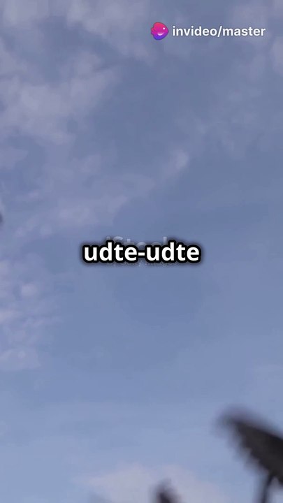"Some birds sleep while flying! 🕊️ One eye open, soaring through the skies. 🌍 #NatureFacts"