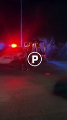 Muere delincuente tras enfrentamiento con Fuerza Civil en Salinas Victoria