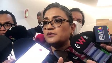 Aleida Alavez: Se impulsarán reformas en materia de maternidad subrogada