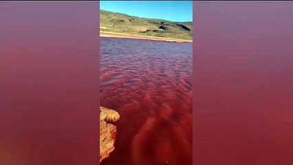 VIDEO: Como en la Profecía; se tiñe de rojo el Río Nilo