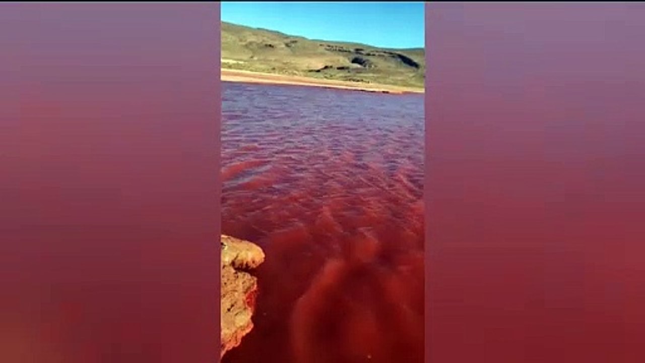 VIDEO: Como en la Profecía; se tiñe de rojo el Río Nilo