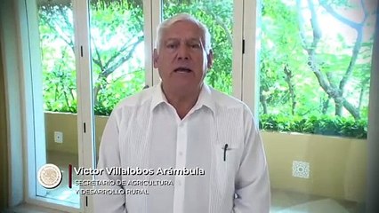 La Secretaría de Agricultura prepara reactivación productiva de Guerrero