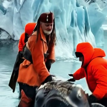 Captain Jack Sparrow helping Distressed whale barnacles rescue