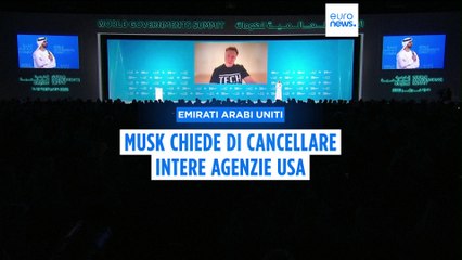 Elon Musk chiede agli Stati Uniti di "cancellare intere agenzie" dal governo federale