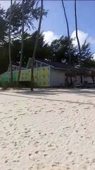 PLAYA EL CORTESITO BABARO PROVINCIA LA ALTAGRACIA REGION ESTE REPUBLICA DOMINICANA.
