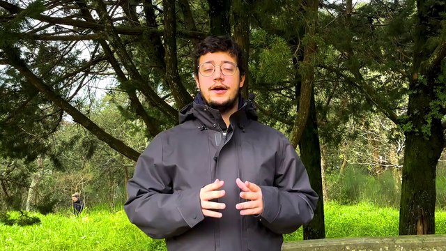IPMA emite aviso laranja e amarelo. Eis onde se prevê chuva, trovoada, vento, agitação marítima e neve