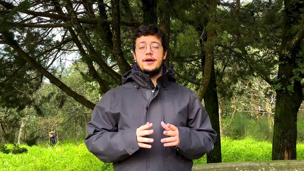 IPMA emite aviso laranja e amarelo. Eis onde se prevê chuva, trovoada, vento, agitação marítima e neve