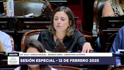 Diputada Siley, Vanesa Raquel - UxP - Sesión 12-02-2025 - PL (1080p_25fps_H264-128kbit_AAC)