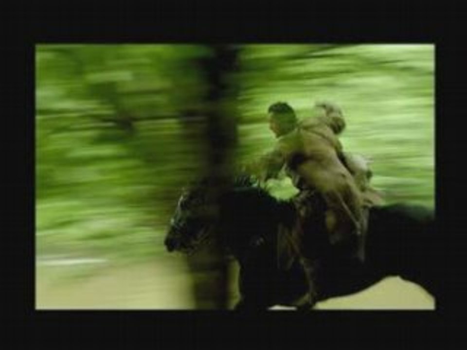 Micha wald "voleurs de chevaux"