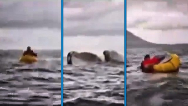 Balina kanoyla gezen genci önce ağzına aldı, sonra geri tükürdü; işte o anlar