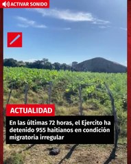 En las últimas 72 horas, el Ejercito ha detenido 955 haitianos en condición migratoria irregular