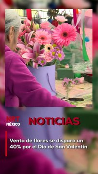 El Día de San Valentín ha traído consigo un importante aumento del 40% en la venta de flores, según reportan floristas y comerciantes. Este incremento se debe a la alta demanda de arreglos florales, rosas y detalles románticos