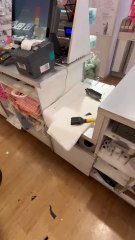 Distrugge il negozio Tiger di corso Buenos Aires a Milano: il video della devastazione