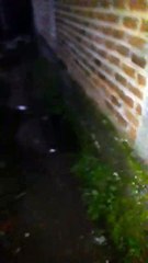 jelajahi tempat angker