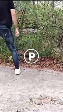 Captan a familia de osos en Mederos