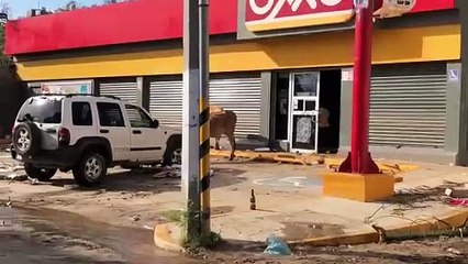 VIDEO: Vacas saquean tiendas de Acapulco tras paso de Otis