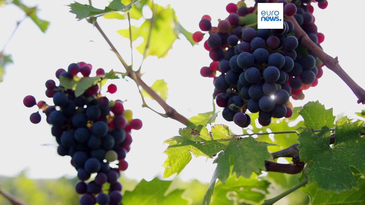 What’s at risk for Made-in-Italy products if Trumps imposes tariffs?