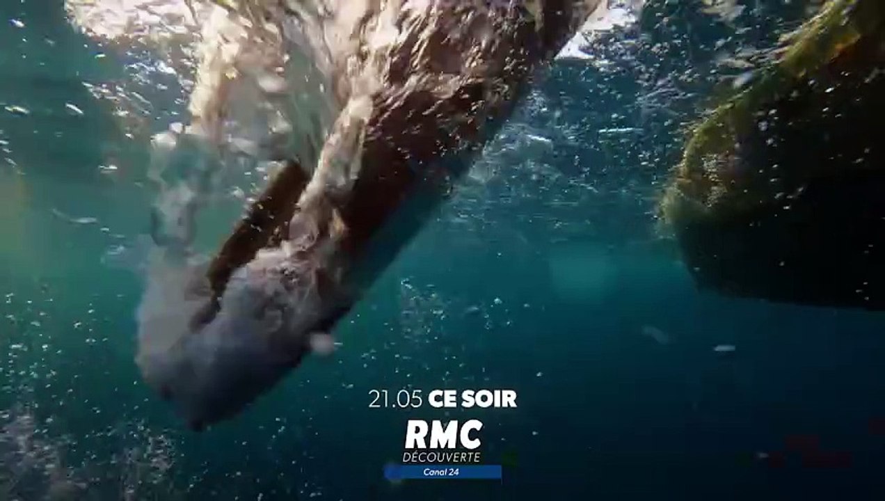 Pêche XXL