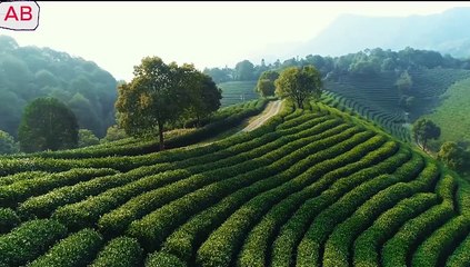 enjoy beautiful places