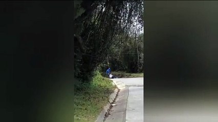 VIDEO: Arrastra presunto ladrón a mujer; hay un detenido en Valle de Bravo