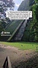 ¿Dinosaurios en Guatemala? La imagen de un grupo de coatíes que te teletransporta a Jurassic Park
