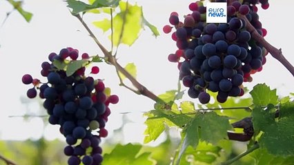 Ιταλία: Πόσο εκτεθειμένα είναι τα εξαγωγικά προϊόντα σε πιθανή επιβολή δασμών από τον Τραμπ