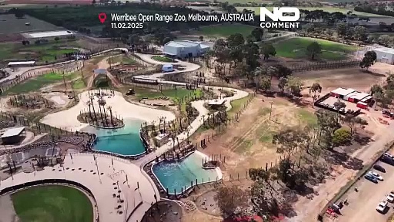 Elephant herd relocated to new 21-hectare enclosure at Werribee Zoo