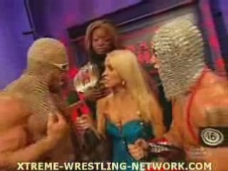 Steiner: The Math Genius