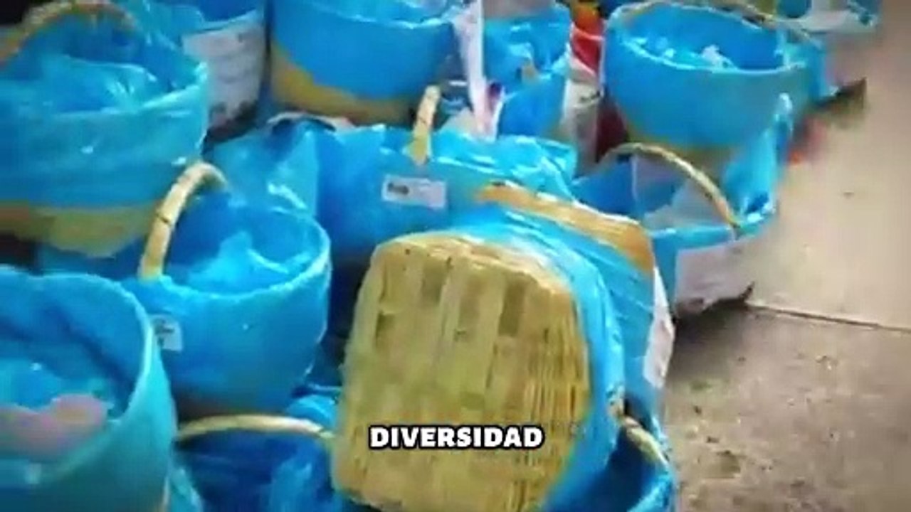 Tlaxcala conquista con sus tacos a la CDMX y ¡rompe récord Guinness!