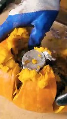 Spice up your decor! Creative pumpkin & metal creation!