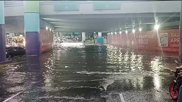 ¡Caos en la CDMX! Lluvias dejan árboles caídos y autos varados, no hay heridos