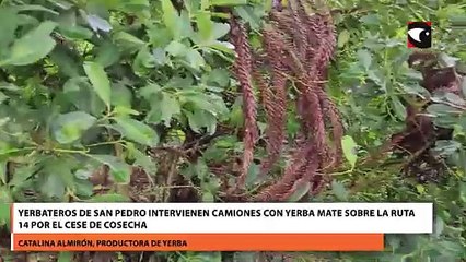 Yerbateros de San Pedro intervienen camiones con yerba mate sobre la ruta 14 por el cese de cosecha