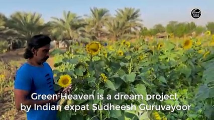 Indian expat replicates Kerala village in Sharjah with rice field, thatched hut, well and waterfall