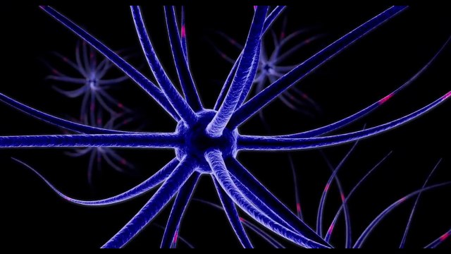 10 Brain Healthy Foods Will Boost Your Memory | Brain Booster Foods | Health Tips |