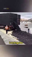 The Shocking Truth Behind L.A.’s 96 Million Black Balls!