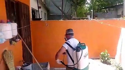 Gobierno de Escobedo combate de plagas y prevención de Rickettsia