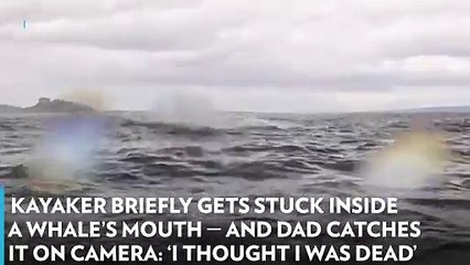 Kayaker Briefly Gets Stuck Inside a Whale’s Mouth — and Dad Catches It on Camera: 'I Thought I Was Dead'