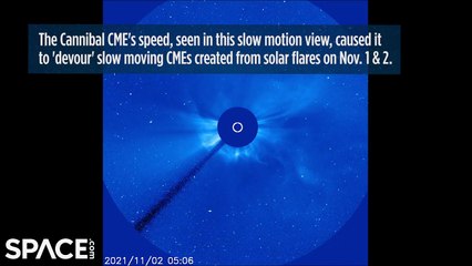 Cannibal Coronal Mass Ejection Generated By Strong Solar Flare