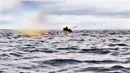 tn7-Video: Ballena se traga y escupe a hombre en kayak-130225