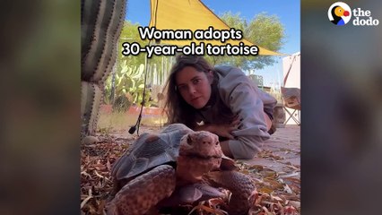30-Year-Old Tortoise Guides Her Mom On Daily Walks